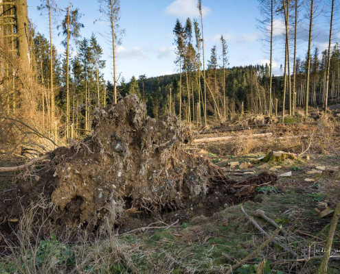 Sturmschaden Sturmschaden