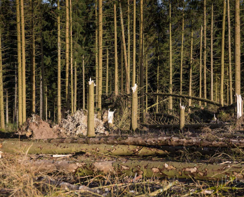 Sturmschaden Sturmschaden