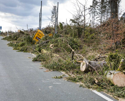 Sturmschaden Sturmschaden