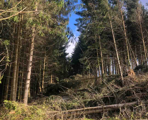 Sturmschaden Sturmschaden