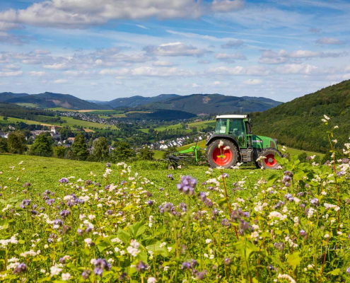 August 2023 - Landwirtschaft in Grafschaft