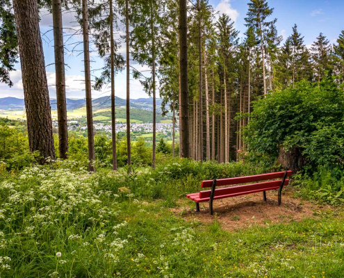 August - Blick aus dem Beerenberg auf Schmallenberg
