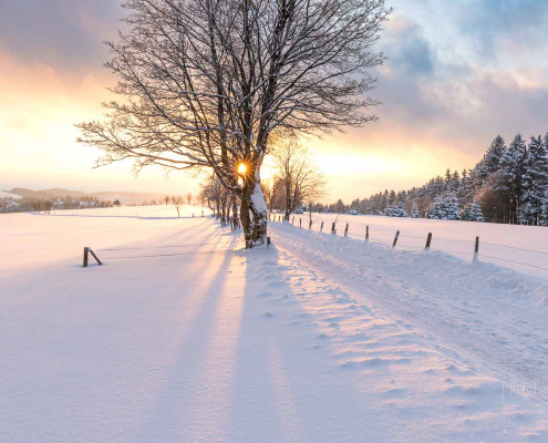 Februar - Abendstimmung in Langewiese
