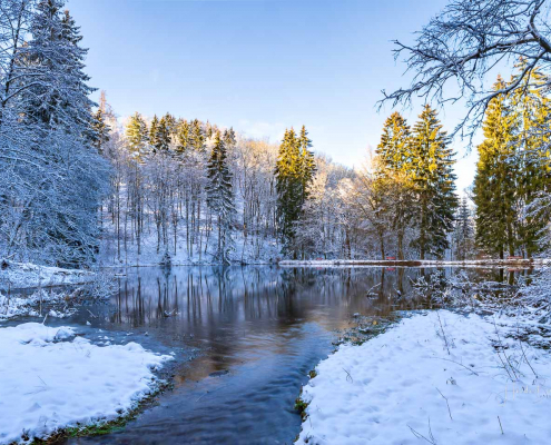 Januar 2023 - Mühlenteich in Grafschaft