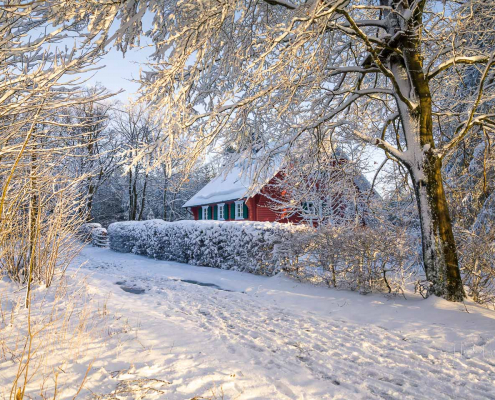 Januar - Rothaarsteig in Hoheleye