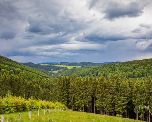 Mai - Aussicht von Altastenberg