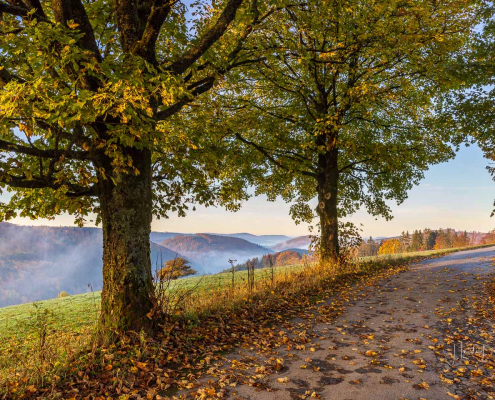 Oktober - Morgenstimmung in Nordenau