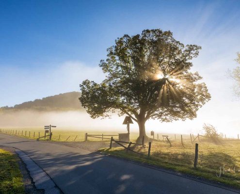 Oktober 2023 - Sellmanns Linde