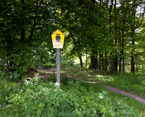 Nationalpark Kellerwald-Edersee