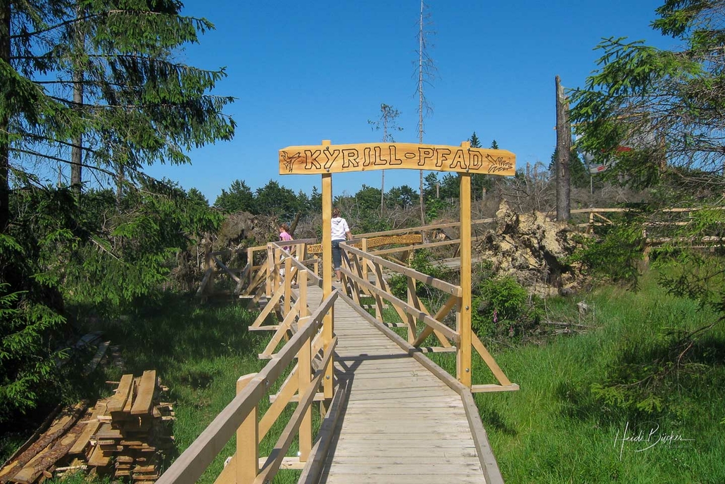 Kyrill-Pfad Schanze Juni 2008 Kyrill-Pfad Schanze Juni 2008