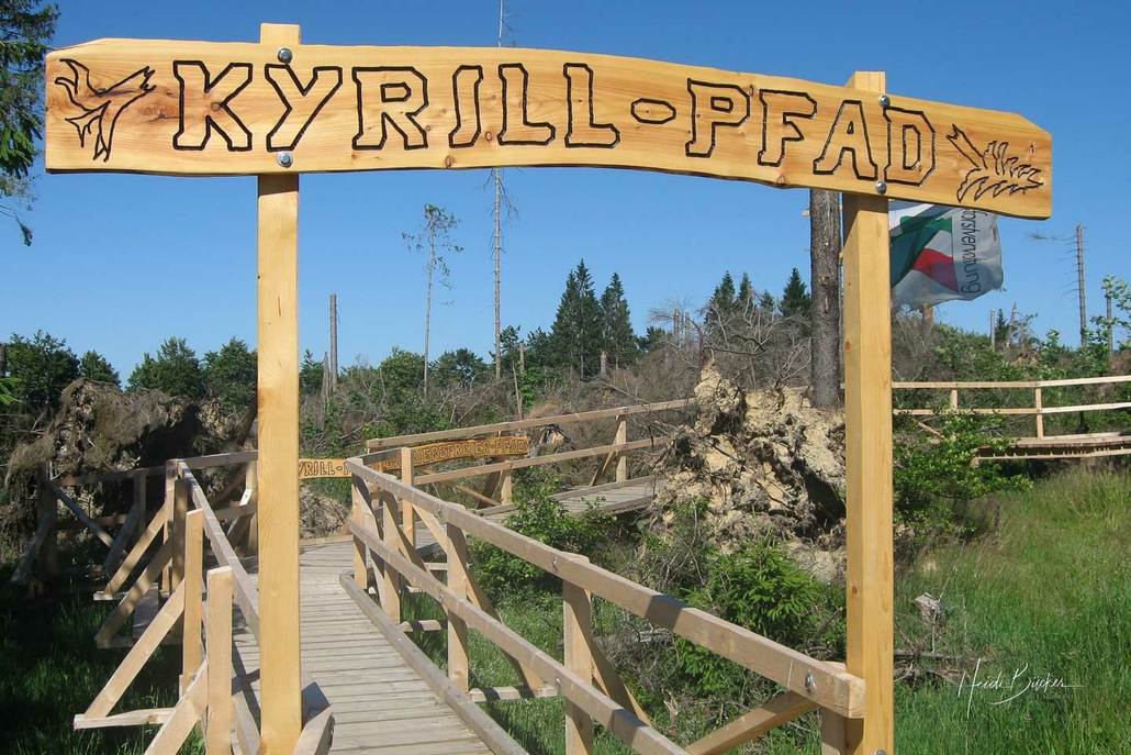 Kyrillpfad Schanze im Juni 2008