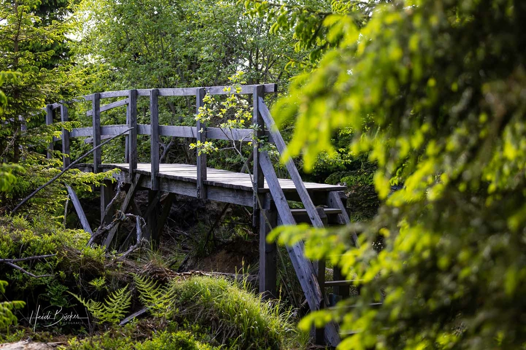 Kyrillpfad_Schanze_Juni 2023_24