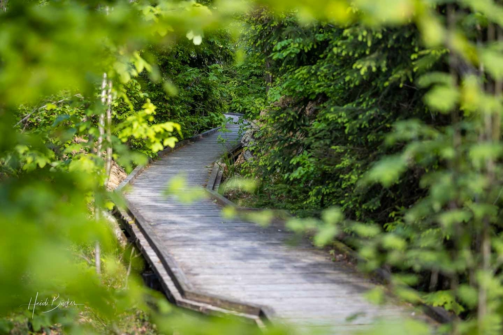 Kyrillpfad Schanze barrierearm