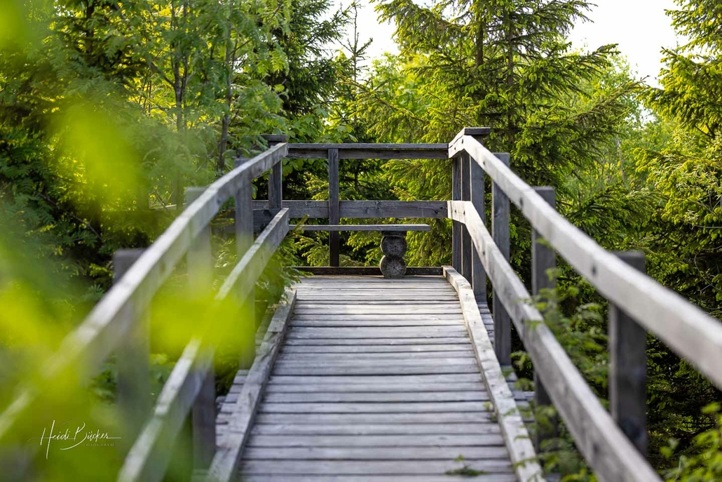 Kyrillpfad_Schanze_Juni 2023_42