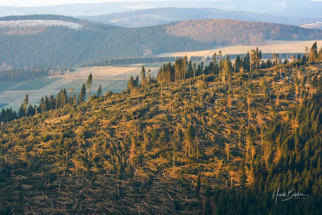 Blick vom Hohen Knochen auf den verwüsteten Hömberg bei Westfeld