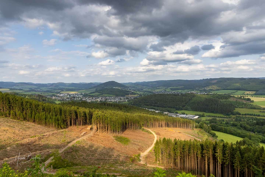 Aussicht vom Beerenberg auf Schmallenberg