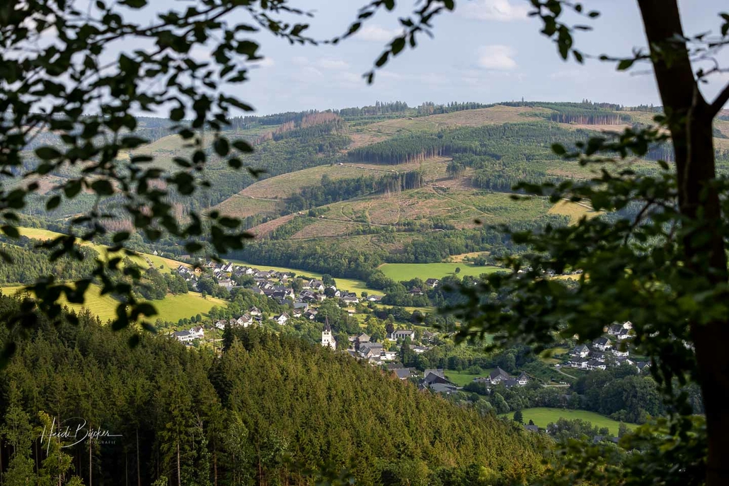 Blick aus den Beerenberg auf Fleckenberg