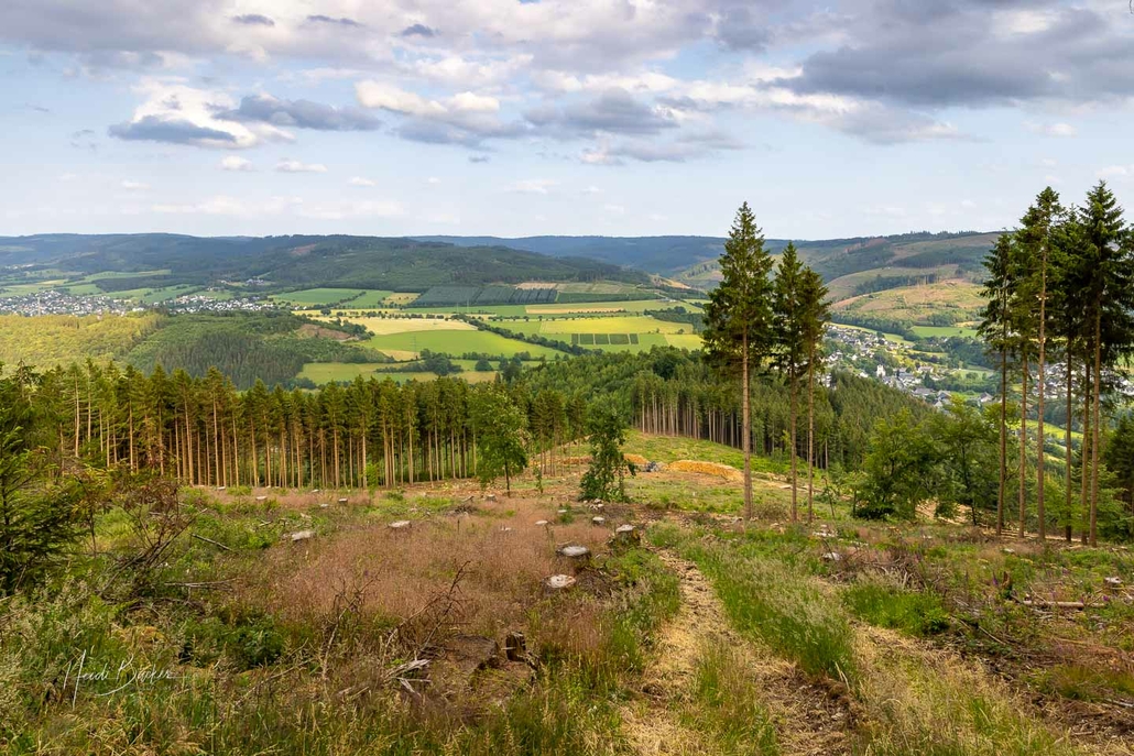 Blick auf Fleckenberg