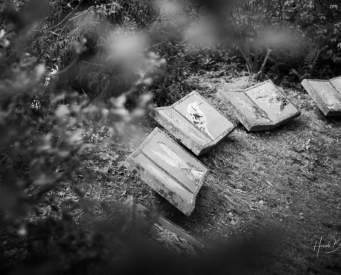 Hexenplatz bei Oberkirchen