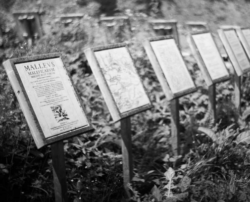 Hexenplatz bei Oberkirchen