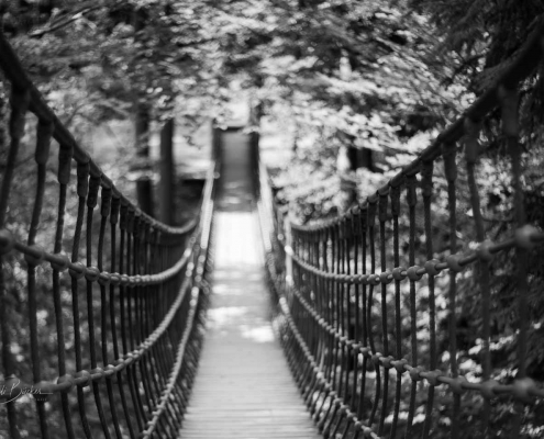 Hängebrücke am Rothaarsteig