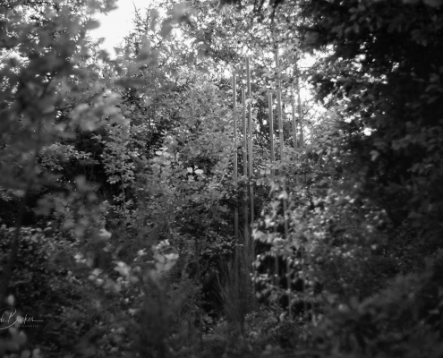 Klangskulptur „Über den Teichen“, von dem Künstler Andreas Oldörp