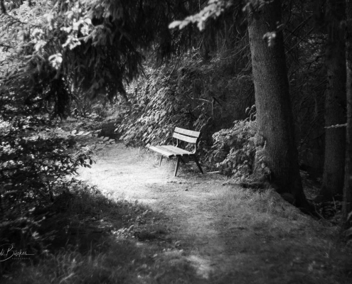 Mühlenteich bei Grafschaft