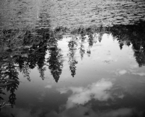 Wasserspiegelung am Mühlenteich