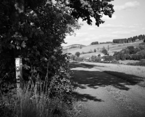 Waldskulpturenweg auf der Almert