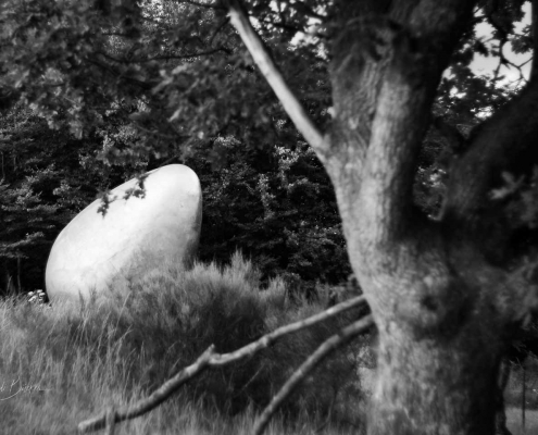 Was war zuerst? von der Künstlerin Magdalena Jetelová