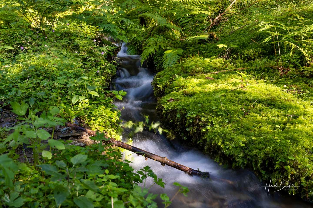 Bach im Lennegrund Bach im Lennegrund