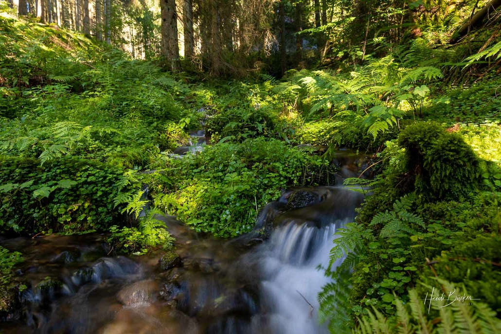 Kleines Fließgewässer im Lennegrund Kleines Fließgewässer im Lennegrund