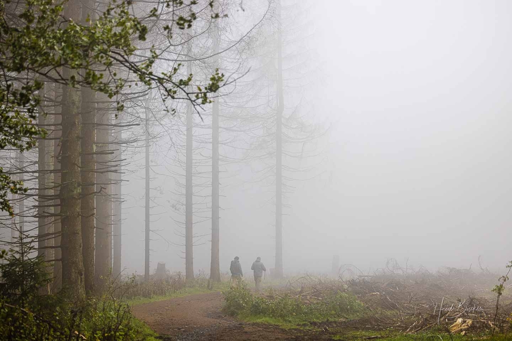 Wanderer auf dem Schwedensteig
