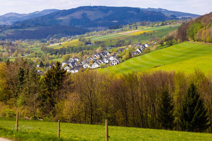 Grafschafter Frühling