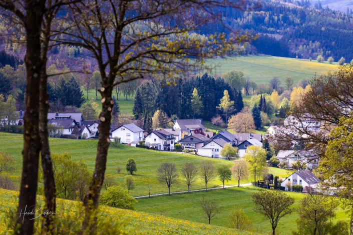 Grafschafter Frühling