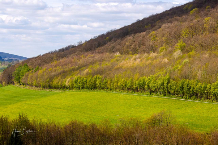 Grafschafter Frühling
