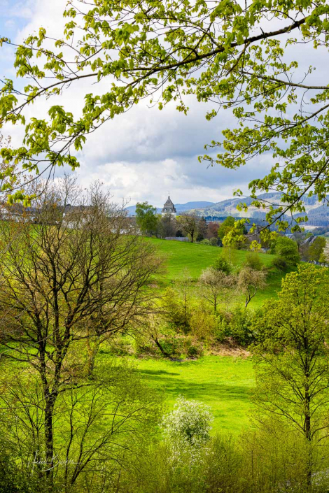 Grafschafter Frühling