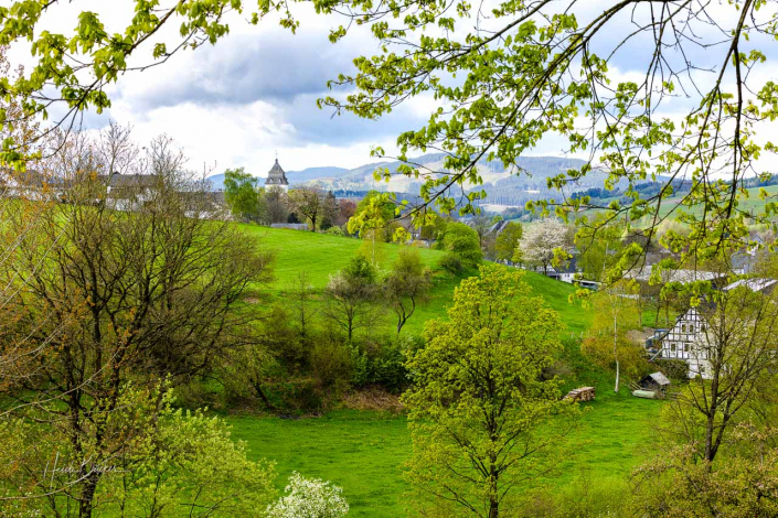 Grafschafter Frühling